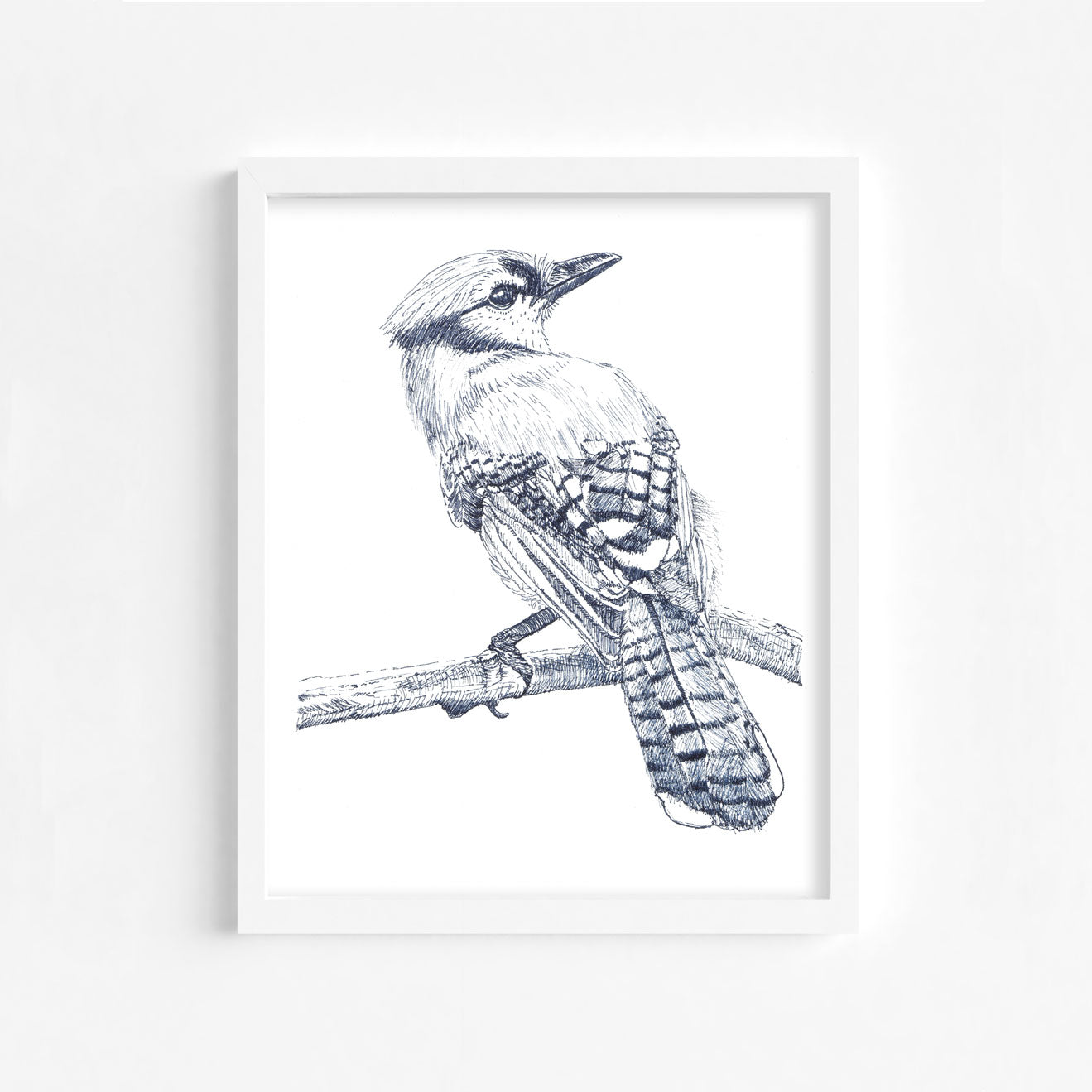 BLACK AND WHITE BLUE JAY Art Print