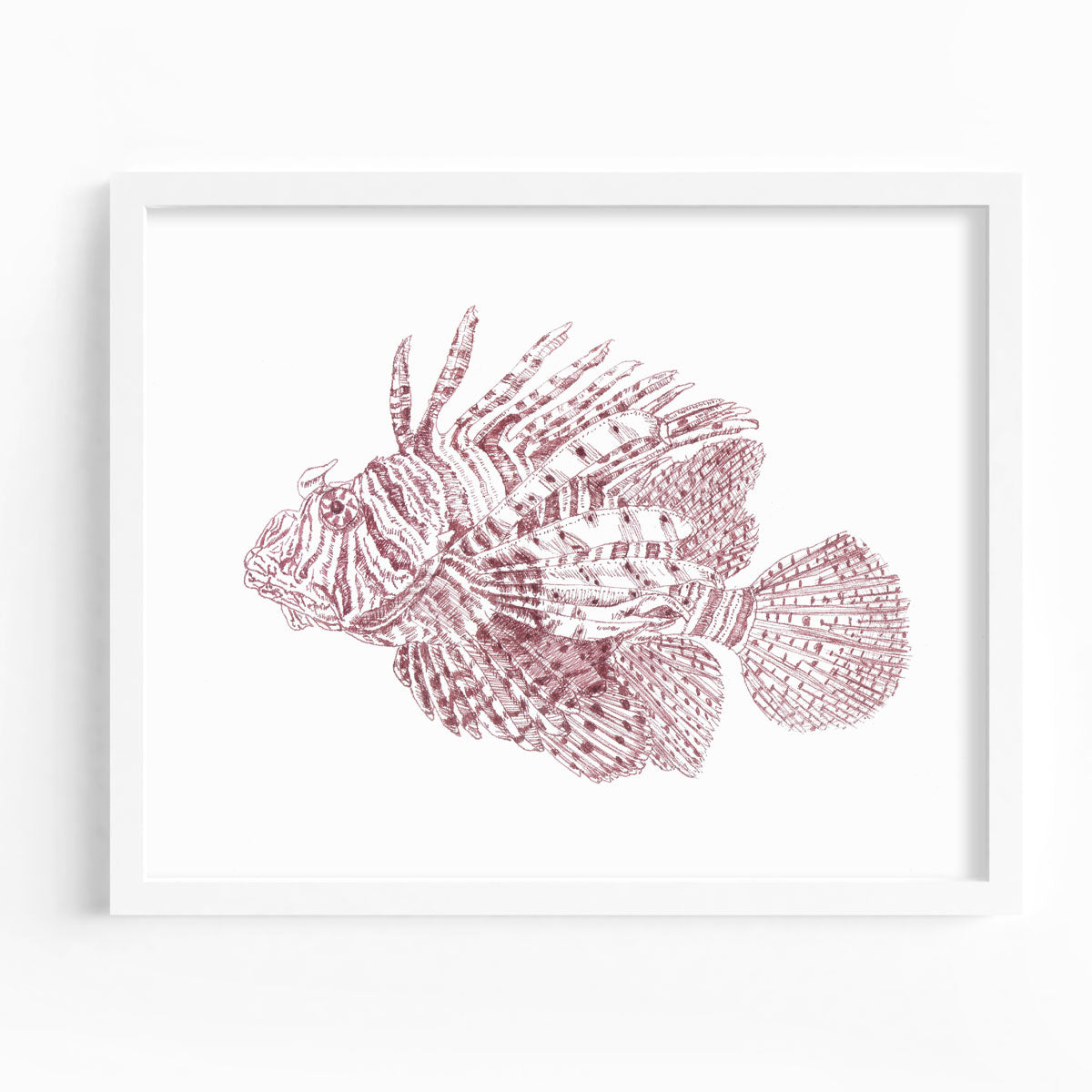 Lionfish Fine Art Print