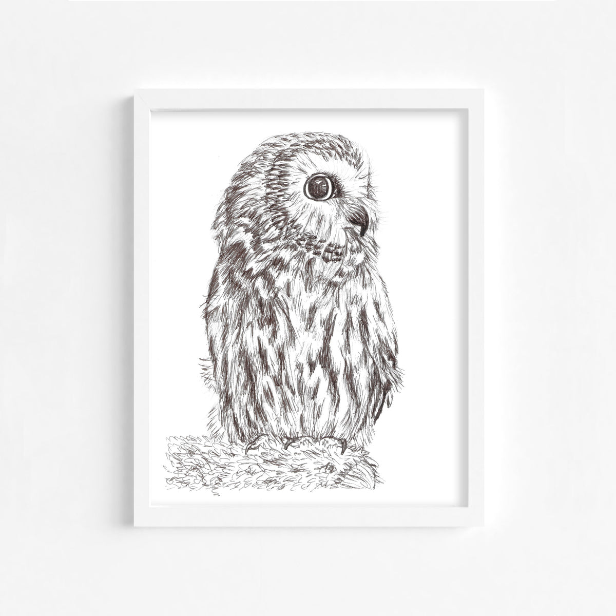 Owl in Brown Ink Fine Art Print