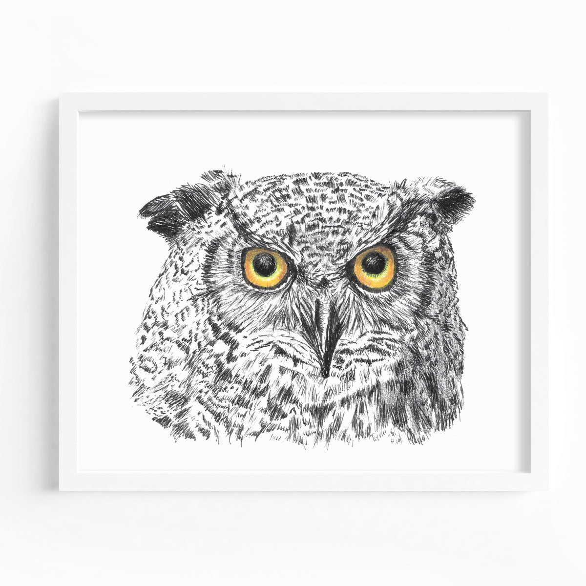 Owl Headshot Fine Art Print