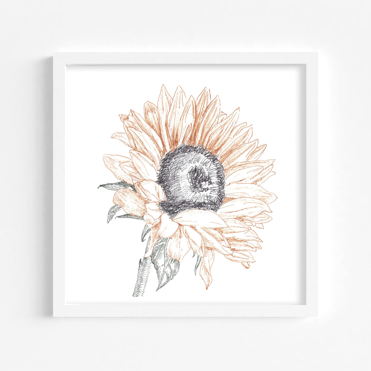 Sunflower Study in Colored Ballpoint Fine Art Print