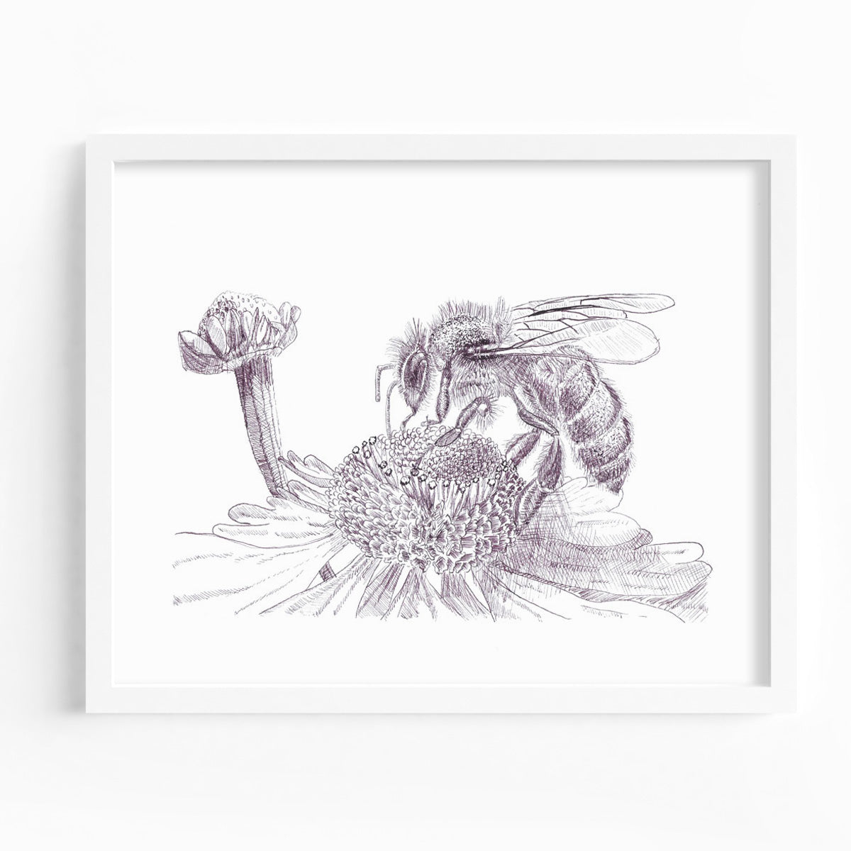 Bee and Blossom Fine Art Print