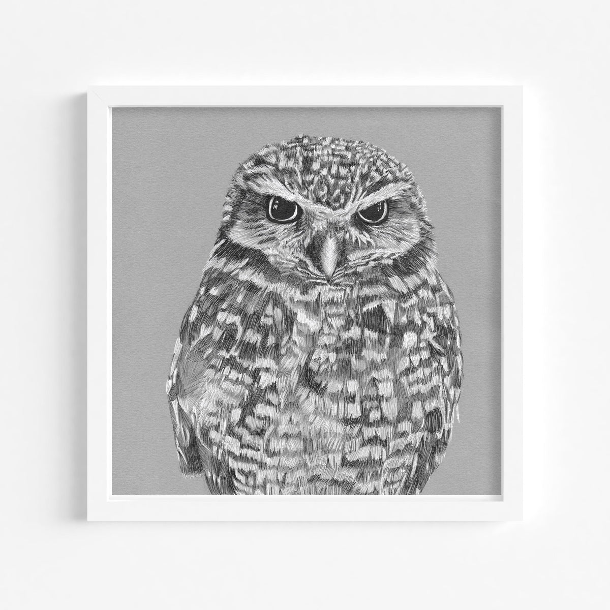 Black and White Owl Fine Art Print
